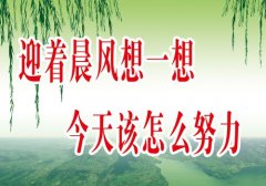 四川国际招标有限tvt体育责任公司官网(四川重德