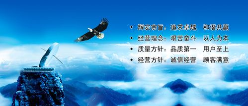 tvt体育:广东开平市公共资源交易中心(开平公共资源交易中心官网)